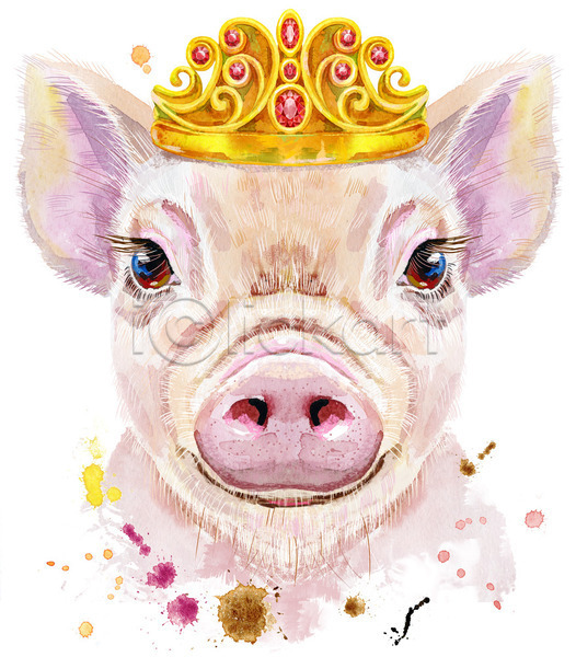 사람없음 JPG 일러스트 포토 해외이미지 돼지 미술 반려동물 수채화(물감) 왕관 캐릭터