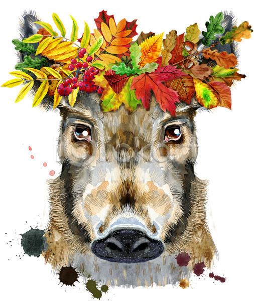 사람없음 JPG 일러스트 포토 해외이미지 가을(계절) 단풍 멧돼지 미술 백그라운드 수채화(물감) 잎 화관