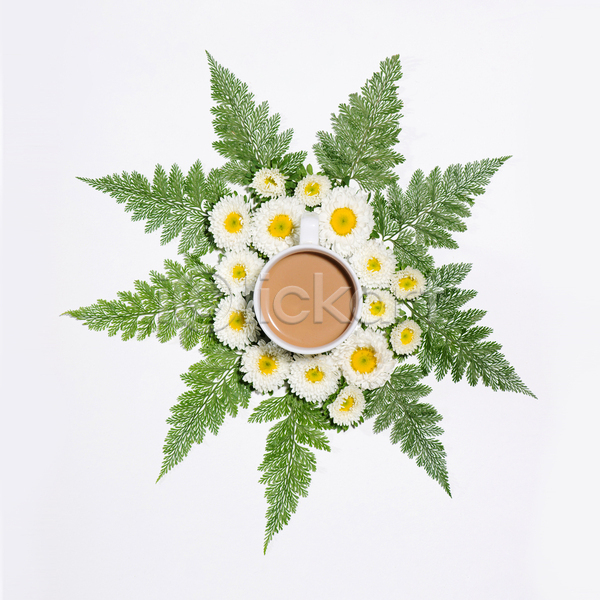 사람없음 JPG 포토 하이앵글 해외이미지 꽃 라떼 실내 오브젝트 잎 커피 흰배경