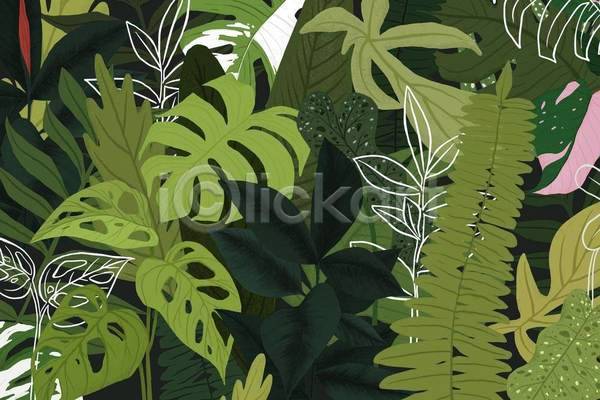 사람없음 EPS 일러스트 해외이미지 라인아트 몬스테라 백그라운드 보테니컬아트 열대잎 초록색 트로피컬아트