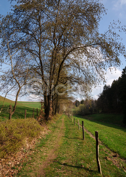 사람없음 JPG 포토 해외이미지 관광지 길 내추럴 독일 생태계 시골 식물 야외 여행 오솔길 유럽 자국 자연 파노라마 풍경(경치) 하늘 하이킹 환경