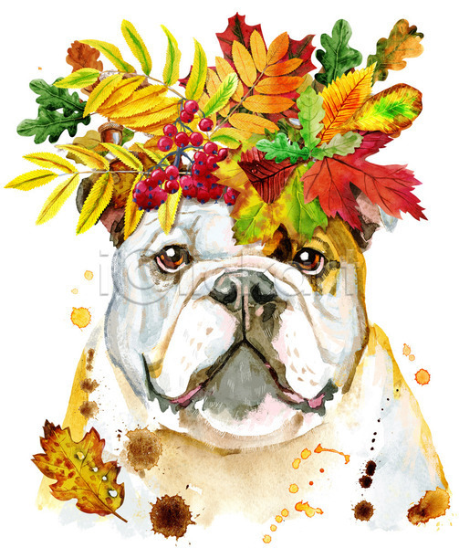 사람없음 JPG 일러스트 포토 해외이미지 가을(계절) 강아지 개 디자인 미술 불독 수채화(물감) 잎 화관