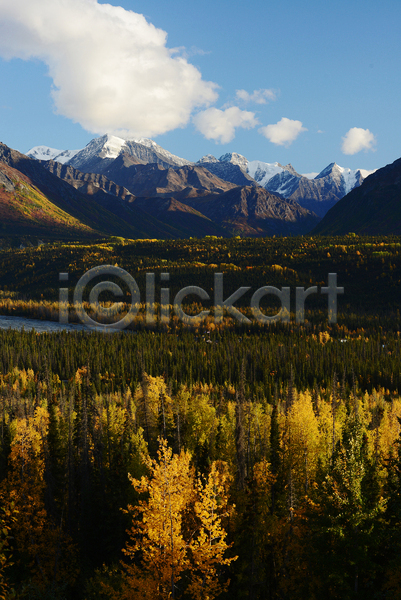 사람없음 JPG 포토 해외이미지 가을(계절) 계절 구름(자연) 나무 노란색 멀리 산 숲 알래스카 자연 전국 절정 파란색 하늘 황무지