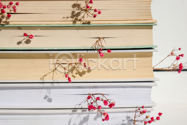 감성 분위기 사람없음 JPG 포토 해외이미지 가을(계절) 실내 쌓기 안개꽃 장식 책