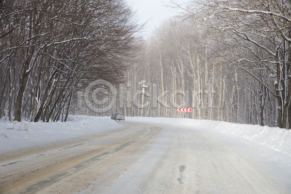 사람없음 JPG 포토 해외이미지 가로수 겨울 길 나무 눈(날씨) 야외 자연 표지판 풍경(경치)