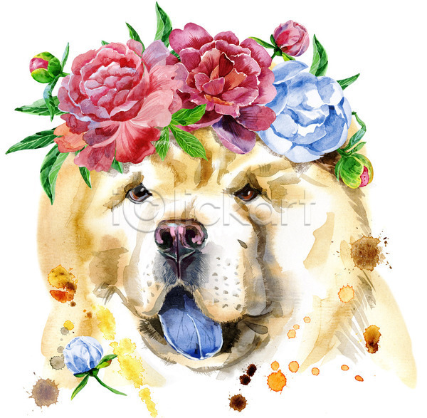 사람없음 JPG 일러스트 포토 해외이미지 강아지 개 꽃잎 디자인 물기(모션) 미술 백그라운드 수채화(물감) 작약 차우차우 화관
