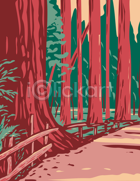 사람없음 JPG 포토 해외이미지 국립공원 그림 나무 숲길 자연 카툰스타일 캘리포니아 풍경(경치)