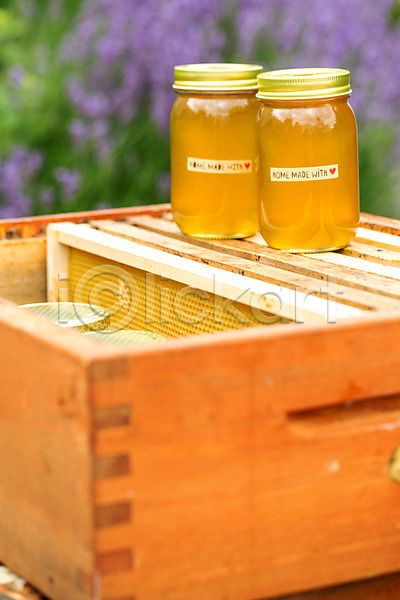 사람없음 JPG 포토 꿀 꿀벌 농업 벌꿀 벌집 야외 양봉 양봉업 유리병 체코