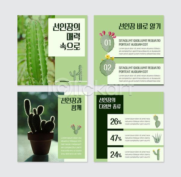 매력적 사람없음 PSD 웹템플릿 템플릿 가시 꽃 선인장 식물 초록색 카드뉴스