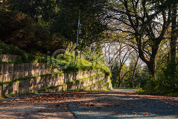 사람없음 JPG 포토 가을(계절) 관광지 국내여행 군산 나무 산책로 야외 여행 월명공원 주간 풍경(경치)