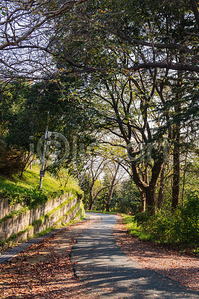 사람없음 JPG 포토 가을(계절) 관광지 국내여행 군산 나무 산책로 야외 여행 월명공원 주간 풍경(경치)