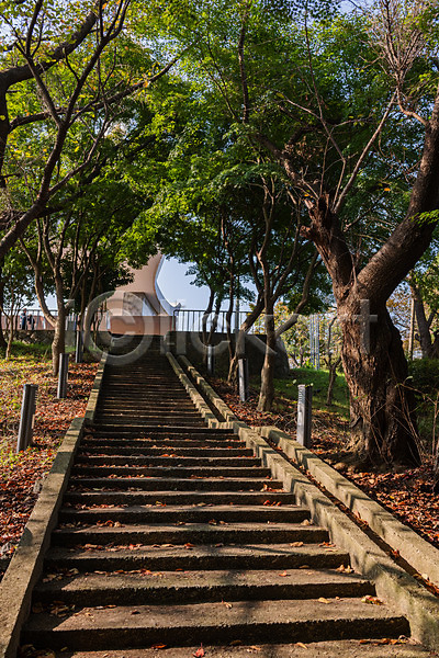사람없음 JPG 포토 가을(계절) 계단 관광지 국내여행 군산 나무 산책로 야외 여행 월명공원 주간 풍경(경치)