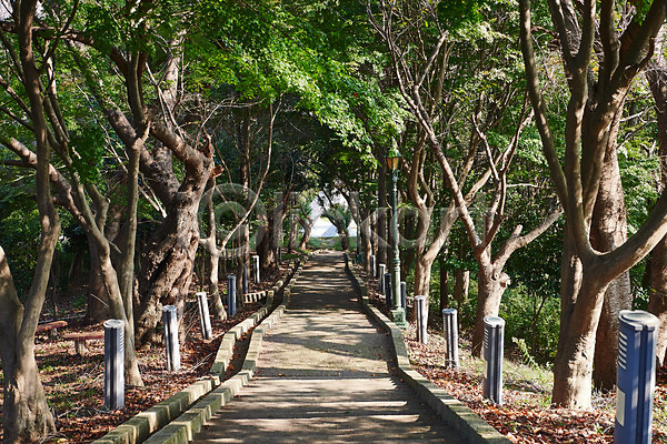 사람없음 JPG 포토 가을(계절) 관광지 국내여행 군산 길 나무 야외 여행 월명공원 주간 풍경(경치)