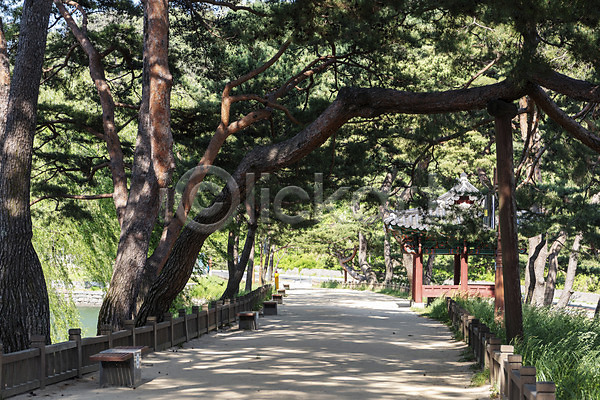사람없음 JPG 포토 관광지 길 명승지 소나무 야외 여름(계절) 여행 의림지 제천 주간 풍경(경치) 한국전통