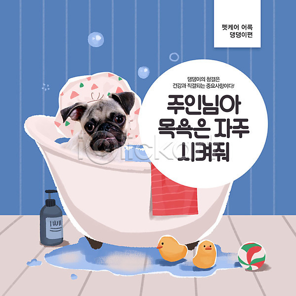 사람없음 PSD 편집이미지 강아지 관리 목욕 반려 반려동물 샤워캡 욕조 주인 파란색 한마리 흥미