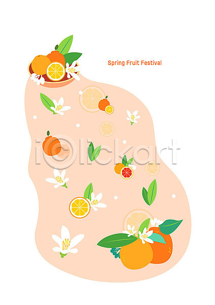 사람없음 PSD 일러스트 과일 그릇 꽃 봄 봄축제 봉오리 오렌지 잎 주황색 축제 한라봉
