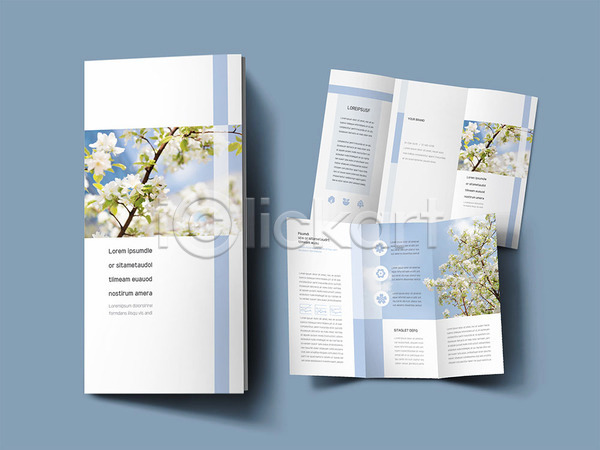 사람없음 INDD ZIP 인디자인 템플릿 3단접지 꽃 나무 내지 리플렛 봄 사과꽃 사과나무 팜플렛 표지 표지디자인 하늘색