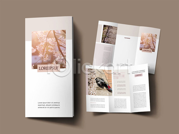 사람없음 INDD ZIP 인디자인 템플릿 3단접지 갈색 계단 꽃 나무 내지 리플렛 벚꽃 카메라 팜플렛 표지 표지디자인
