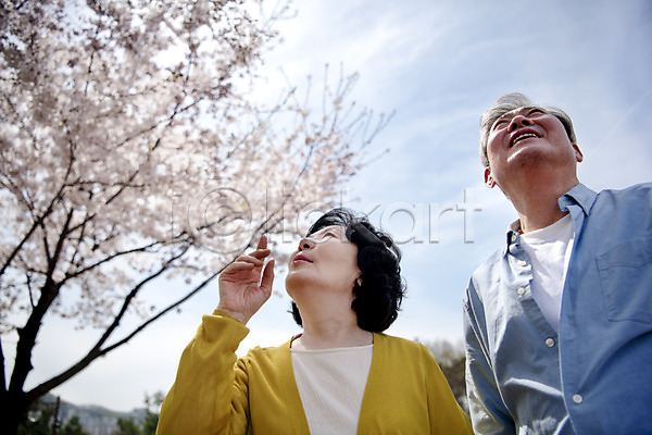 다정 산책 행복 60대 70대 남자 노년 노인만 두명 여자 한국인 JPG 로우앵글 앞모습 포토 공원 노부부 데이트 동반자 벚꽃 봄 상반신 서기 야외 응시 주간 할머니 할아버지