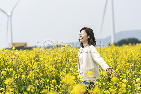 즐거움 행복 화목 30대 성인 성인여자한명만 여자 한국인 한명 JPG 옆모습 포토 가족여행 만지기 맑음 미소(표정) 봄 봄여행 상반신 서기 야외 유채 유채밭 응시 제주도 주간 표선면 풍력에너지
