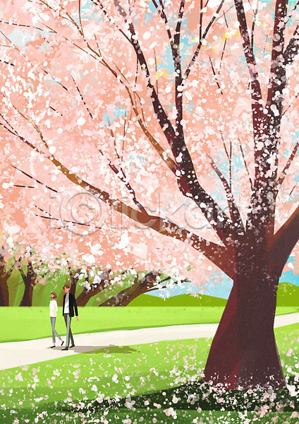 따뜻함 남자 두명 사람 여자 PSD 일러스트 걷기 공원 꽃잎 나무 낙화 벚꽃 봄 커플