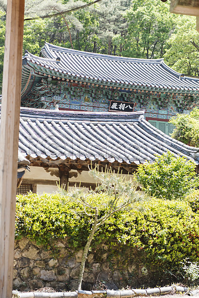 사람없음 JPG 포토 관광지 나무 불교 사찰 야외 절 주간 한국 흥국사