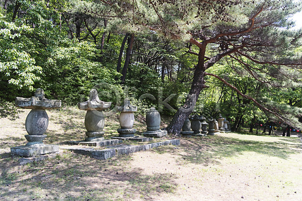 사람없음 JPG 포토 관광지 나무 부도군 불교 사찰 소나무 야외 절 주간 한국 흥국사