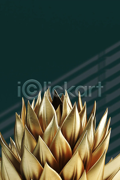 사람없음 3D PSD 편집이미지 금박 금색 금속 다육식물 백그라운드 식물 잎 프레임 황금