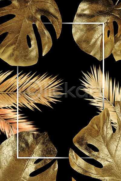 사람없음 3D PSD 편집이미지 금박 금색 금속 나뭇잎 백그라운드 사각프레임 식물 야자수잎 잎 프레임 황금