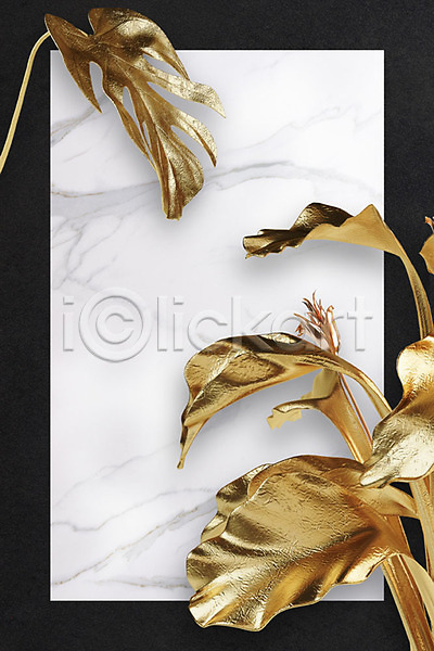사람없음 3D PSD 편집이미지 금박 금색 금속 나뭇잎 대리석 백그라운드 사각프레임 식물 잎 프레임 황금