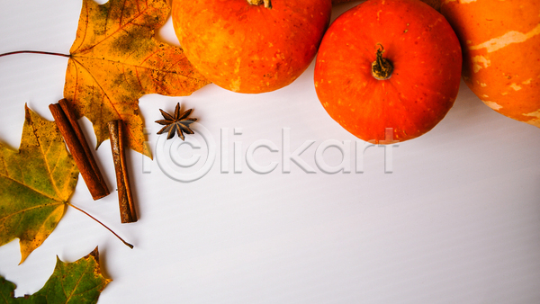 사람없음 JPG 포토 하이앵글 해외이미지 가을(계절) 낙엽 시나몬스틱 오브젝트 주황색 카피스페이스 팔각회향 호박