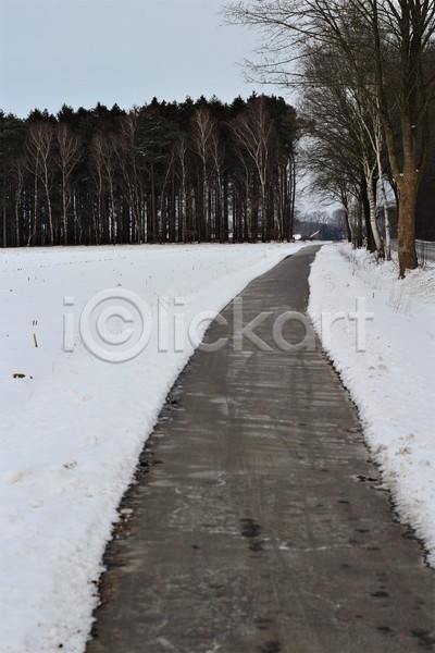 추위 사람없음 JPG 포토 해외이미지 겨울 계절 길 나무 서리 숲 시골 아스팔트(도로) 야외 오솔길 풍경(경치)