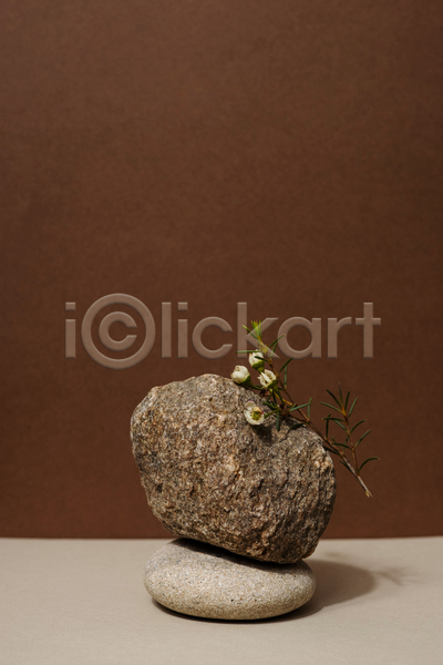 분위기 사람없음 JPG 포토 해외이미지 가을(계절) 갈색배경 나뭇가지 돌(바위) 실내 쌓기 오브젝트