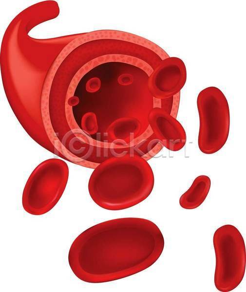 사람없음 EPS 일러스트 해외이미지 빨간색 세포 적혈구 혈관 혈구