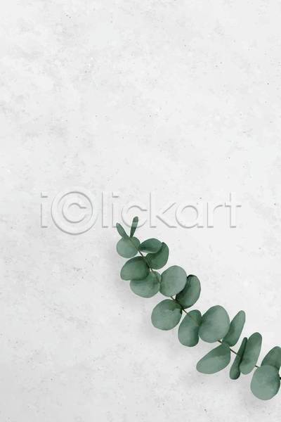 사람없음 EPS 일러스트 해외이미지 공백 디자인 백그라운드 식물 잎 카피스페이스 회색배경