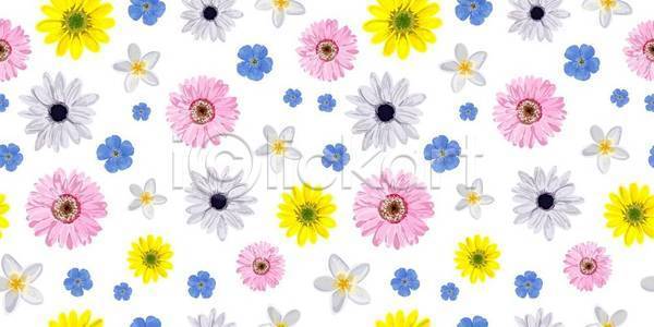 EPS 일러스트 템플릿 해외이미지 꽃 꽃다발 꽃무늬 꽃잎 낭만 내추럴 덮개 디자인 백그라운드 벚꽃 벽지 봄 분홍색 붓 손그림 수확 식물 신용카드 인쇄 잉크 잎 자연 장식 종이 직물 질감 초대 추상 컬러풀 파란색 패턴 페인트 해외일러스트 현실