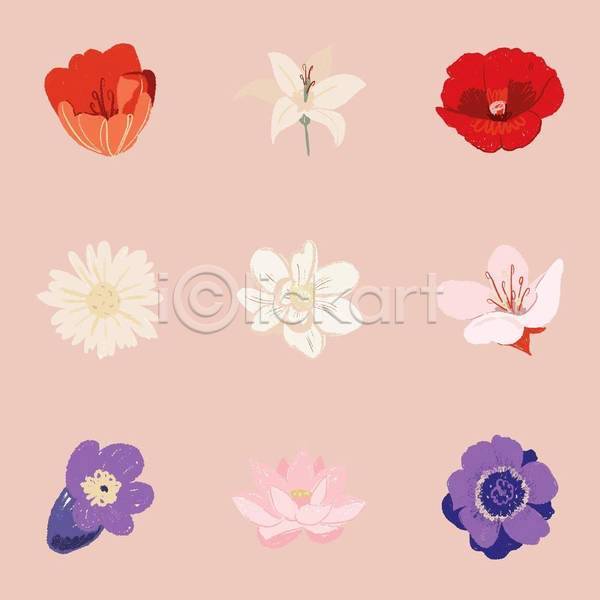 사람없음 EPS 일러스트 해외이미지 꽃 다양 봄꽃 분홍색 세트 스티커 엘리먼트