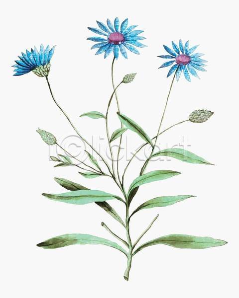 빈티지 사람없음 EPS 일러스트 해외이미지 꽃 꽃봉오리 식물 잎 줄기 파란색