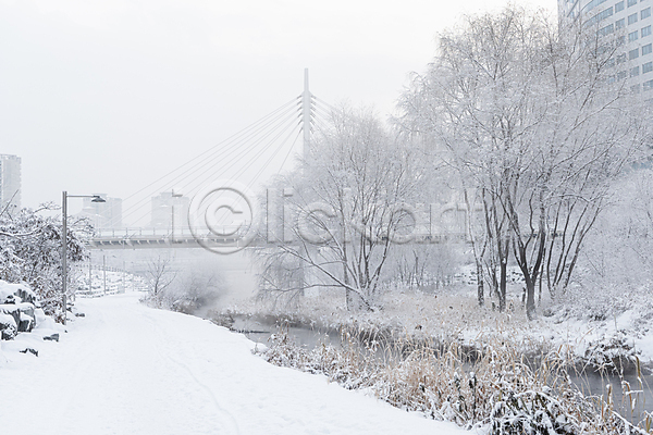 추위 사람없음 JPG 포토 가로등 강 겨울 겨울풍경 공원 나무 눈(날씨) 눈덮임 다리(건축물) 산책로 설경 야외 주간