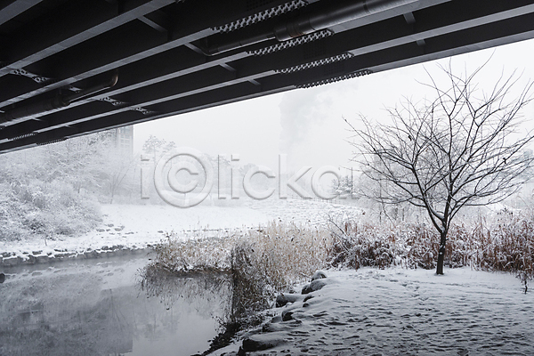 추위 사람없음 JPG 포토 강 겨울 겨울풍경 공원 나무 눈(날씨) 눈덮임 다리(건축물) 다리밑 설경 야외 주간