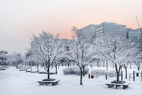추위 사람없음 JPG 포토 건물 겨울 겨울풍경 공원 관목 나무 눈(날씨) 눈덮임 도시 벤치 빌딩 설경 야외 주간 하늘