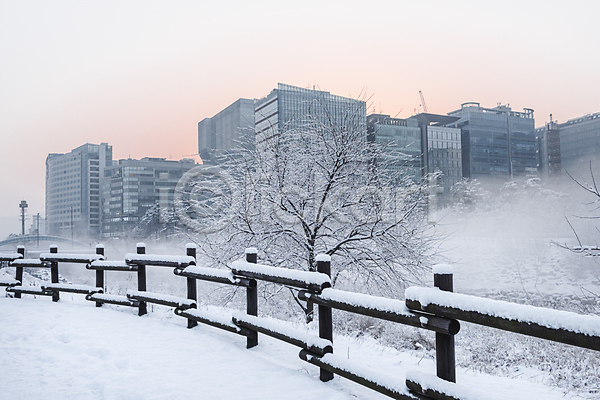 추위 사람없음 JPG 포토 건물 겨울 겨울풍경 공원 나무 눈(날씨) 눈덮임 도시 빌딩 산책로 설경 야외 울타리 주간 하늘 흐림