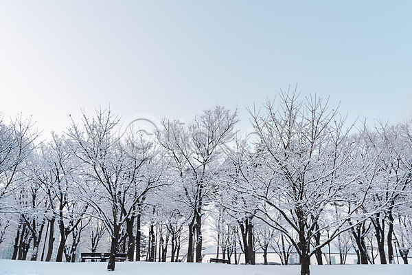 추위 사람없음 JPG 포토 겨울 겨울풍경 공원 나무 눈(날씨) 눈꽃 눈덮임 설경 야외 주간 하늘