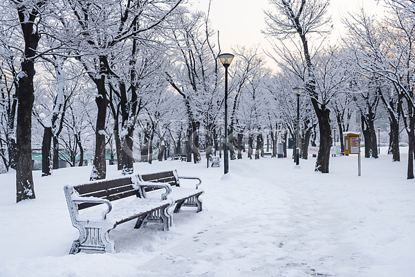 추위 사람없음 JPG 포토 가로등 겨울 겨울풍경 공원 나무 눈(날씨) 눈덮임 벤치 산책로 설경 야외 주간