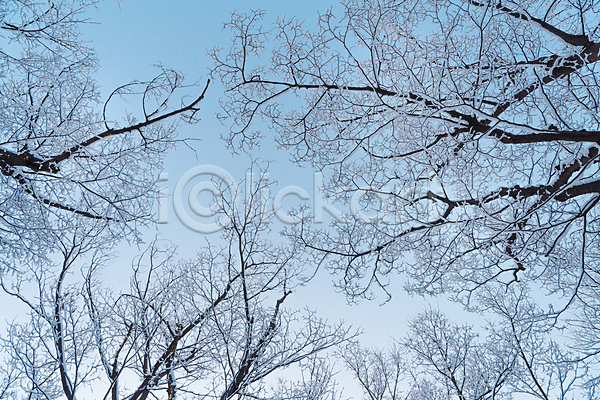 추위 사람없음 JPG 포토 겨울 겨울풍경 공원 나무 눈(날씨) 설경 야외 주간 하늘
