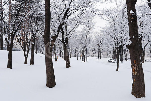 추위 사람없음 JPG 포토 겨울 겨울풍경 공원 나무 눈(날씨) 눈덮임 벤치 산책로 설경 야외 주간