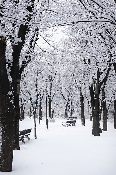 추위 사람없음 JPG 포토 겨울 겨울풍경 공원 나무 눈(날씨) 눈덮임 벤치 산책로 설경 야외 주간