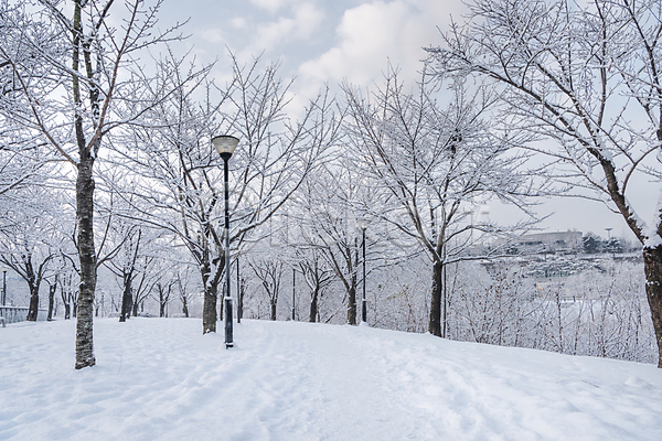추위 사람없음 JPG 포토 가로등 겨울 겨울풍경 공원 구름(자연) 나무 눈(날씨) 눈덮임 산책로 설경 야외 주간 하늘