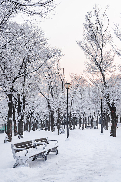 추위 사람없음 JPG 포토 가로등 겨울 겨울풍경 공원 나무 눈(날씨) 눈덮임 벤치 산책로 설경 야외 주간 하늘