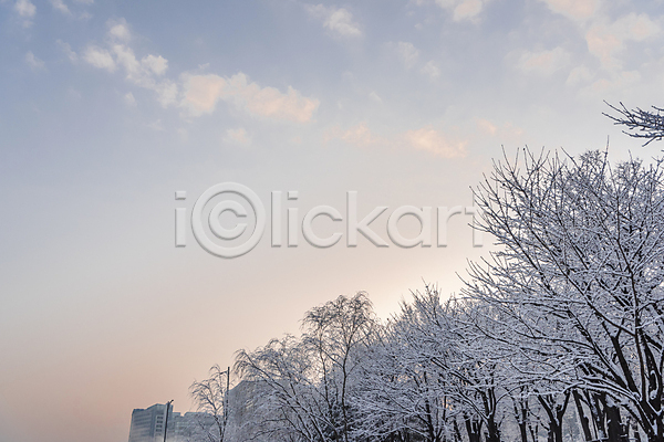 추위 사람없음 JPG 포토 겨울 겨울풍경 공원 구름(자연) 나무 눈(날씨) 설경 야외 주간 하늘